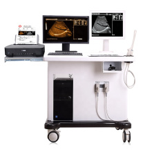 China Professional Manufacture Digital Trolley Ultrasound Scanner avec poste de travail